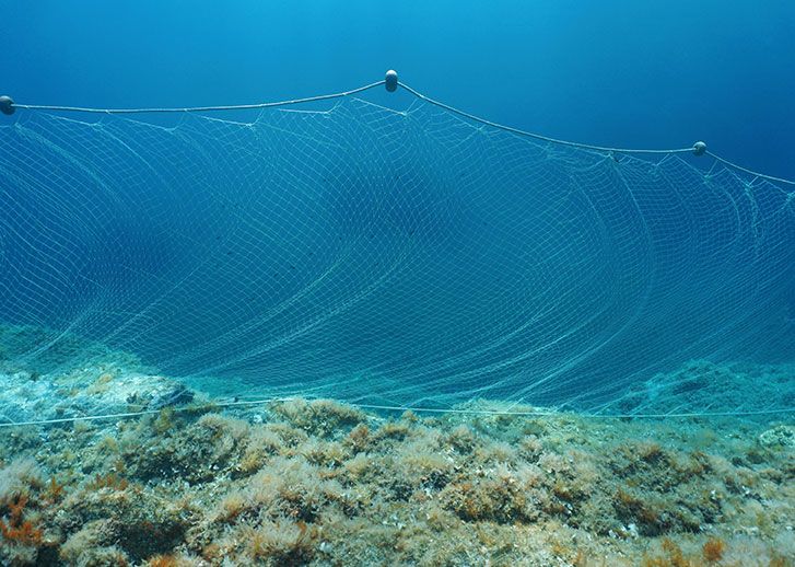 Filet de pêche biodégradable et compostable en bioplastique