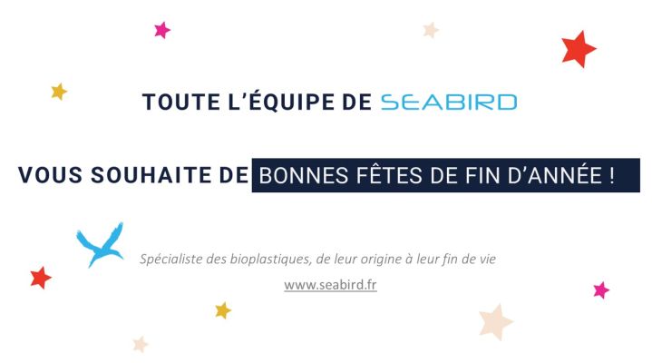 SeaBird vous souhaite de joyeuses fêtes de fin d'année !