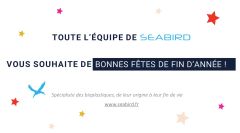 SeaBird vous souhaite de joyeuses fêtes de fin d'année !